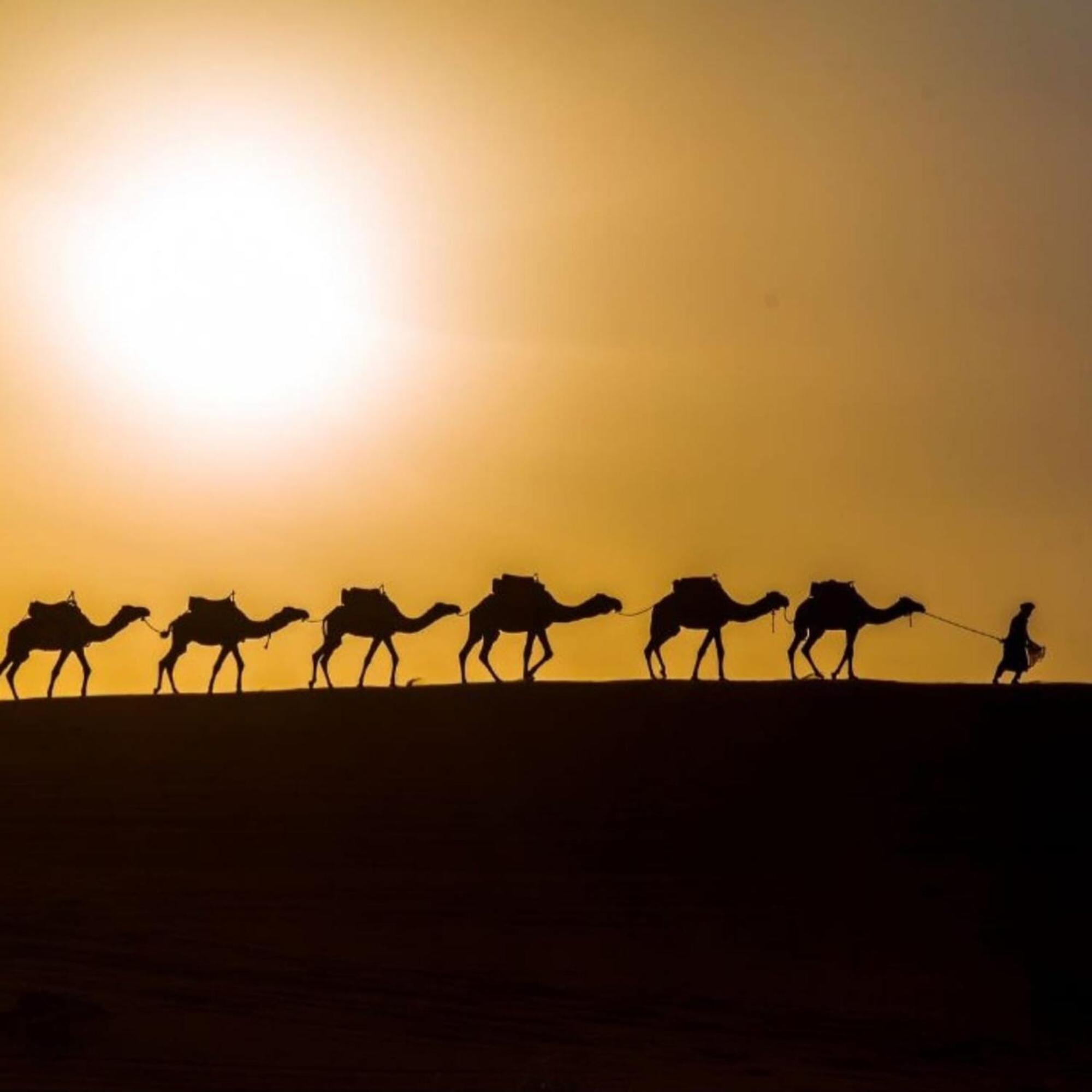 Unique Sahara Camp Hotel Merzouga Exterior foto